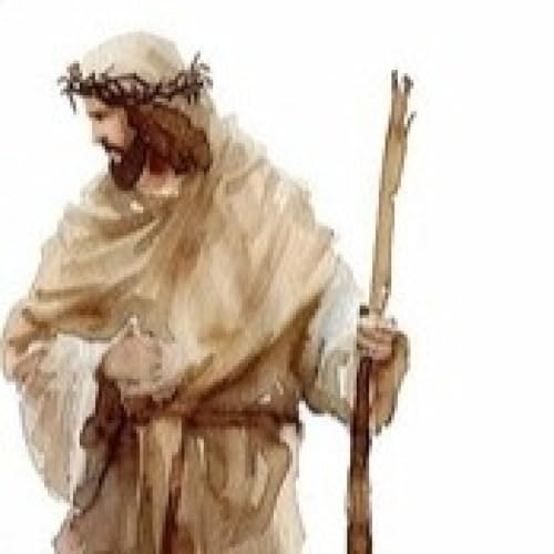 Divine Empowerment. Walking Under Jesus Christ’ Rod and Staff. Peter in Us, A Transformed Heart, a Living Staff. cover art