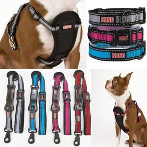 kong harness amazon