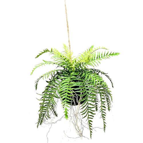 A tFCN ۋ Ђ t ϗtA tFCNO[   ݂ lHϗtA T{e CeA ϗt A  G nMO  O[ Mtg X