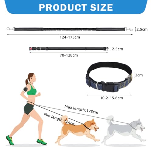 GOTDYBST Joggingleine Hunde Mit Halsband: Bauchgurt Hundeleine,Freihändig Laufleine,Hundehalsband,Für Mittelgroße und Große Hunde,Geeignet zum Joggen, Laufen und Wandern