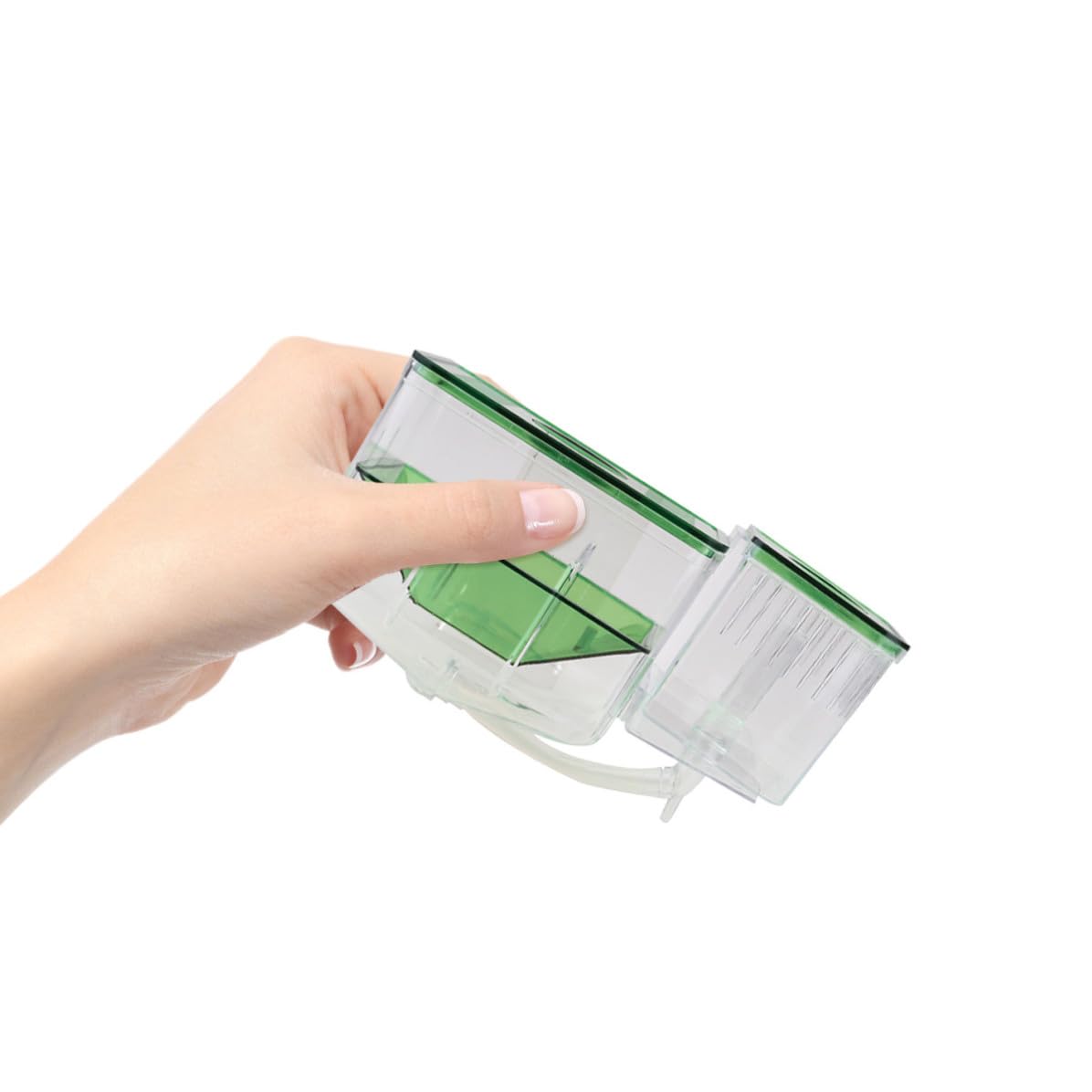 SHINEOFI Boîte D'élevage pour Aquarium en Acrylique Vert, Protection des Œufs de Poisson Alevins, Couveuse Isolante pour Maison et Aquarium