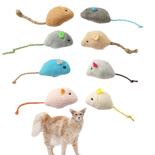 Lifetips IG^OwA Oriental Longhair Lp lY~ʂ 8Zbg qL L V XgXU ^s ӂӂf L炵  ybgObY