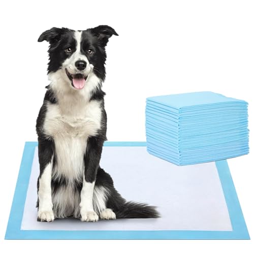 Nobleza 20pz Empapadores Perros Alfombrilla higiénica de Entrenamiento para Perros, Ultraabsorbente 90cmx60cm