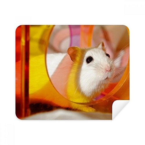 Chiffon de nettoyage pour écran de téléphone en daim lot de 2