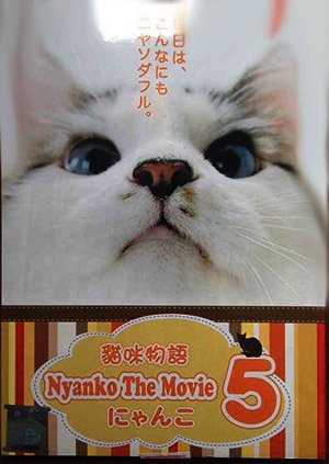 41xG53KLKIL.jpg