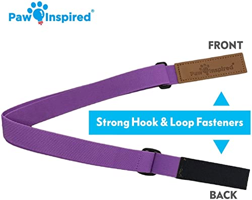Image of PAW Inspired Dog Diaper Suspenders, Purple, X-Small /Small | Stretchy Adjustable Straps, Velcro Closures, For Female and Male Disposable and Washable Diapers