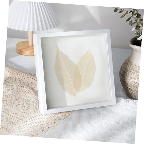 Decoración de hojas naturales para manualidades y scrapbook miniatura 6