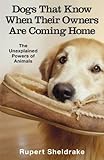  Dogs That Know When Their Owners Are Coming Home: And Other Unexplained Powers of Animals by Rupert Sheldrake(2000-09-07)