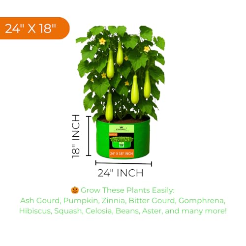 Image of Kingwell Grow Bag 24 X 18 INCH, PACK OF 3 For Terrace Garden Leafy Vegetable Plant Grow Bags Fruits Growing Containers For terrece Gardening (24 X 18 INCH, PACK OF 3)