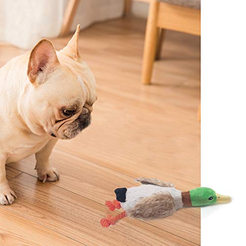 Hotype Squeaky Plüschspielzeug mit langlebiger Ente für Welpen, Training und Kauspiel