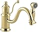 KOHLER K-169-PB Antique Single Control Kitchen Sink Faucet, Vibrant Polished Brass