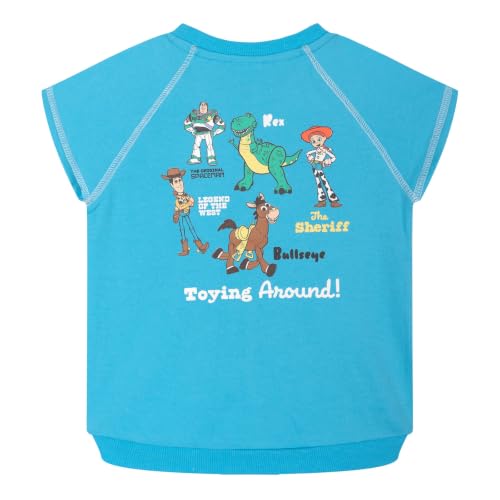 Image of Disney T-Shirt & French Terry Shorts Set Toddler to Big Kid Sizes (2T - 14-16)