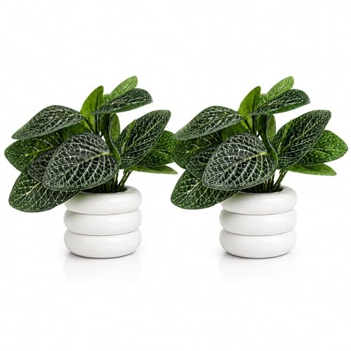 Image of Set of 2 Artificial Plants with Ceramic Pots for Home Decor - Faux Greenery Decor for Small Spaces, Bathroom, Table Top - Realistic Plastic Mini Plants for Gifting & Office Decoration