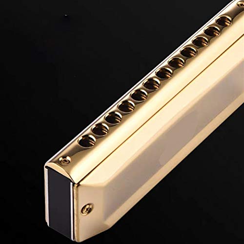 KIRANDIE Chromatic Harmonica 12 16 Trous Bouche d’organes clés de Instrumentos C Phosphor Bronze Reeds Instruments de… - Les Beatles, Paul McCartney, John Lennon, RIngo Starr, George Harrison KIRANDIE Chromatic Harmonica 12 16 Trous Bouche d'organes clés de Instrumentos C Phosphor Bronze Reeds Instruments de… – Image 7