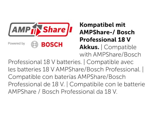 Fein F-IRON Jig 26 AS Set 2 x 4 Ah (Abmessungen: 250 x 174 x 79 mm, Gewicht: 2,10 g, 18 V Lithium-Ionen-Akku, Akkusäge) 71360562000