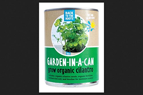 Garden-In-A-Can Cilantro