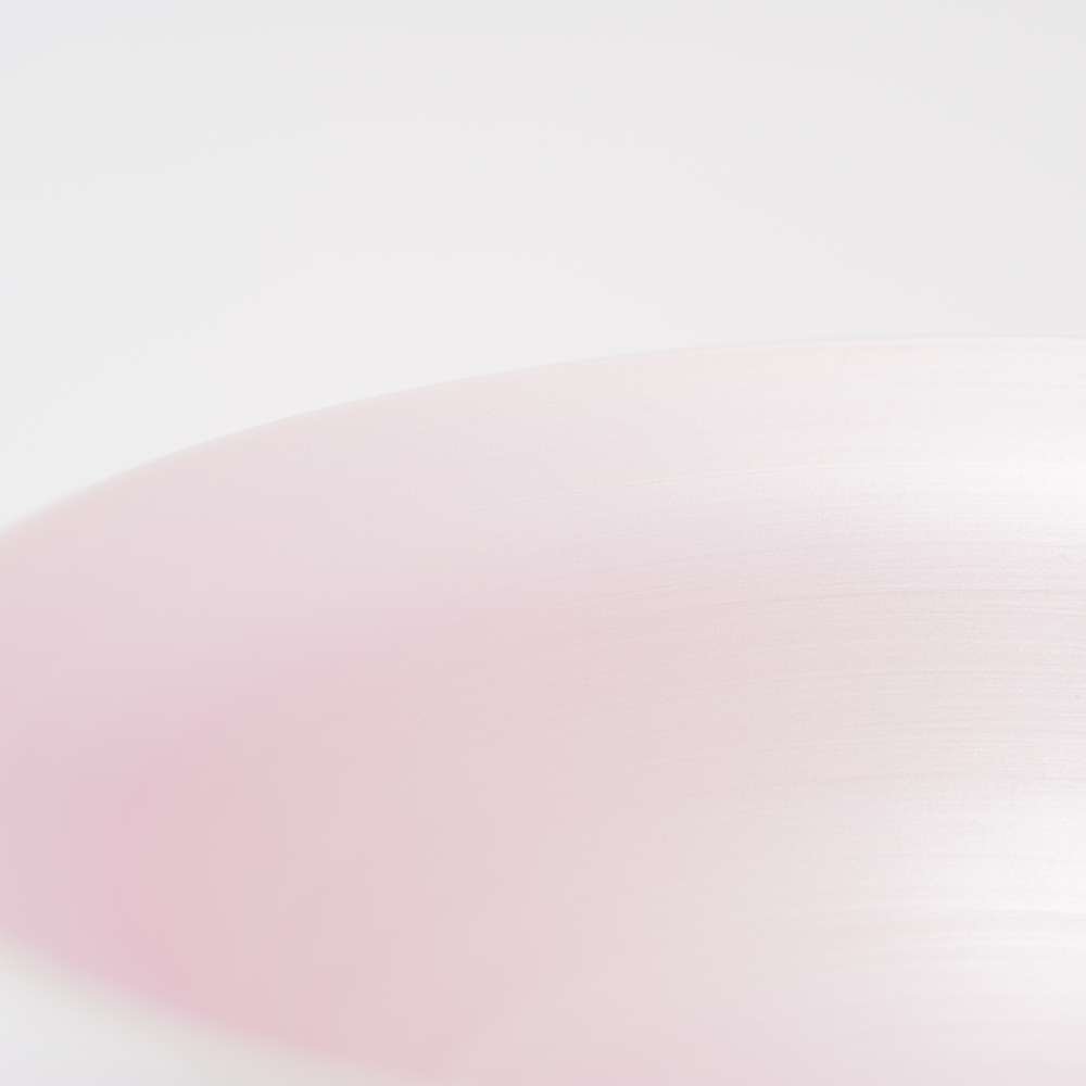 ARITA PORCELAIN LAB JAPAN CHERRY 多用鉢ソメイ JAPAN CHERRY 平皿(中