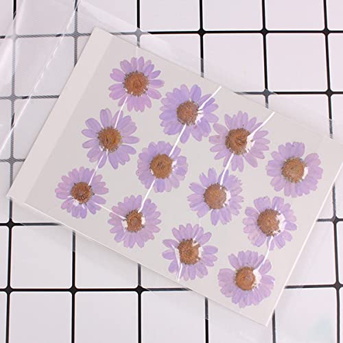 120 piezas flores secas naturales para manualidades miniatura 2