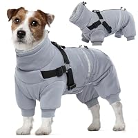 Hundejacke Kleine Hunde, Hundepullover fr Kleine Hunde Thermomantel Hunde  Fleece Warme Winterjacke Welpen Hunde Bekleidung Winter(Grau, S) : Amazon.de:  Haustier