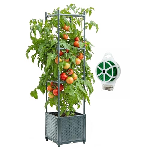KOBAZ Raised Garden Bed Tomato Planter Box with Trellis 41.3 Tomato Planters Cage w/Self-Watering for Climbing Plants Vegetables Patio Indoor Outdoor