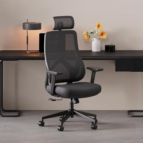 Rongbuk Ergonomic Executive Office Chair for Home, Office, and Study Room - High Back Computer Desk Chair with 3D Armrests and 2D Headrest, Swivel Mesh Chair, Black Cover