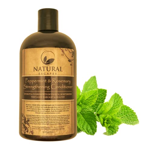 Peppermint & Rosemary Conditioner | Lightweight Moisturizing Conditioner for Stronger, Healthier Hair | Includes Pure Essential Oils to Stimulate Hair Growth | No Sulfates or Parabens | 16oz