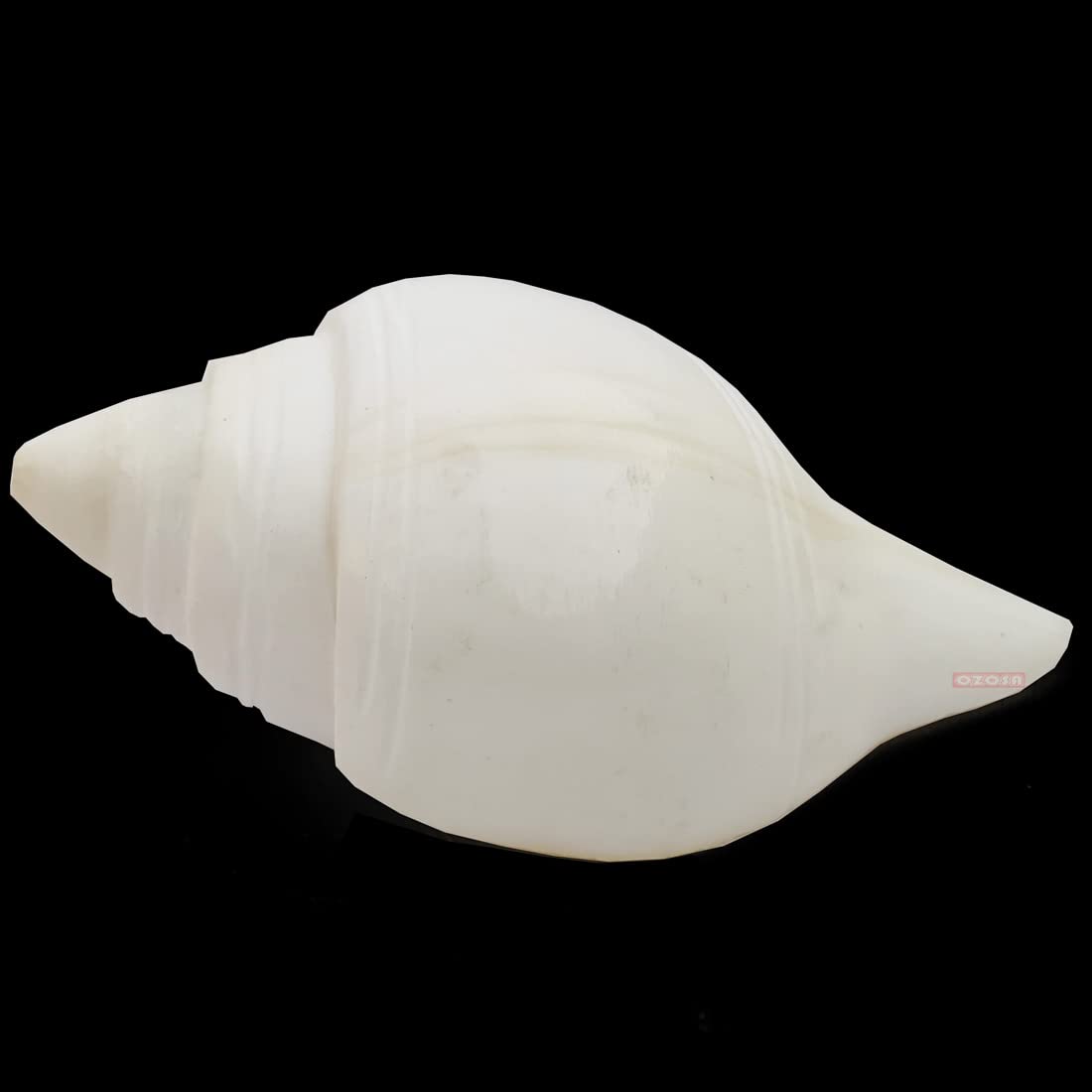 Original Pure Natural Traditional Jal Shankh con supporto per puja, dimensioni 11,5 cm