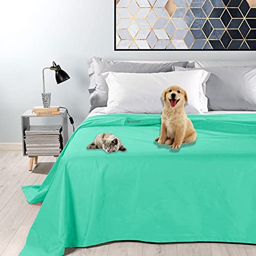 Amazon.de Best Sellers The most popular items in Bed Covers for Dogs