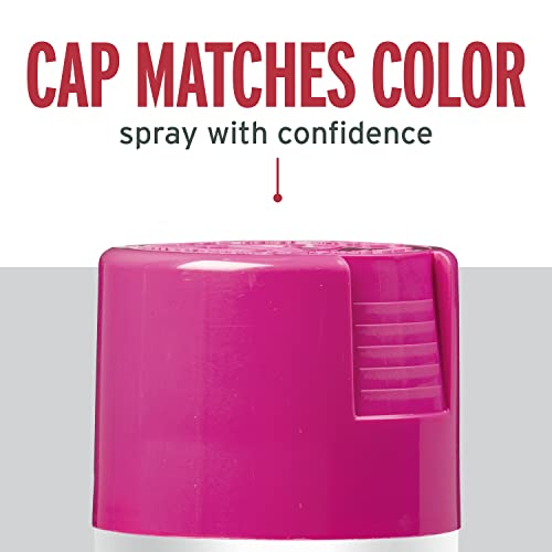 Image of Rust-Oleum 347026 Stops Rust Spray Paint, 12 oz, Gloss Poppy Pink, 6 Pack, 2 Pack