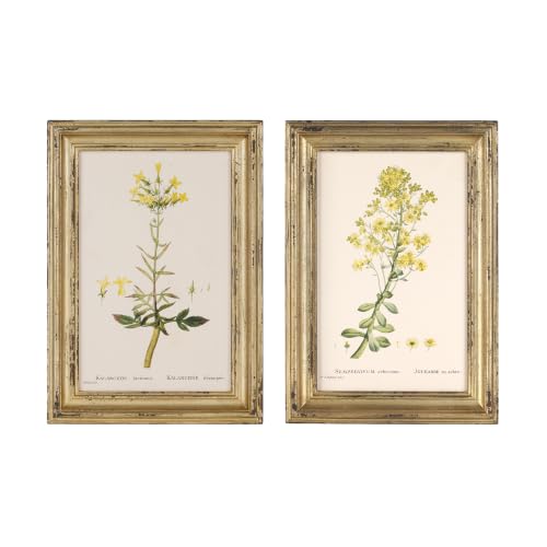 NIKKY HOME Vintage Botanical Wall Art Set of...