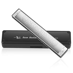 Harmonica Harp Harmoc Armonica 24 Hole Mouth Organ Professional Key of C Polyphony Diatonic with Case for Blues Folk…