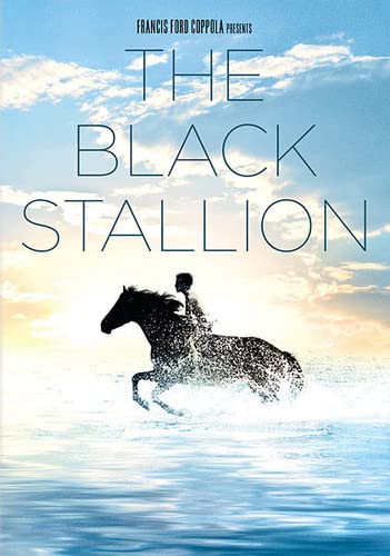 The Black Stallion 5555386850 Book Cover