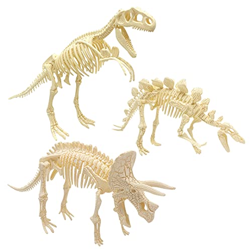 YODAR 3 Pcs Dinosaur Fossil Skeleton DIY Toys 8.7 Inch Educational Puzzles Model Set for Kids Over 8 Years Old