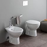 🚽 Comfort e Stile: Rinnova il tuo bagno con la coppia di sanitari a terra distanziati dal design tradizionale. Ideali per chi cerca eleganza e funzionalità, questi sanitari in ceramica offrono un tocco di classe e comfort quotidiano