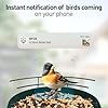 Soliom- Bird Feeder with Camera, 5W Solar Powered, AI Identify Species, Smart Wild Bird Watching, 2K Live View, Instant Arrival Alerts,Large 2.7L Seed Capacity, Metal Squirrel Chew-Proof - BF08 Green #1