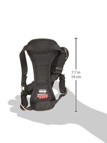 Coastal - Easy Rider - Adjustable Dog Car Harness, Black, XSM (12"-18") - image 2