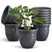 Plastard Übertopf 10er Set Durchmesser 21 cm Anthrazit Blumentopf für Innen und Außen aus Kunststoff Pflanztopf für Balkon Terrasse Pflanzkübel Kräutertopf