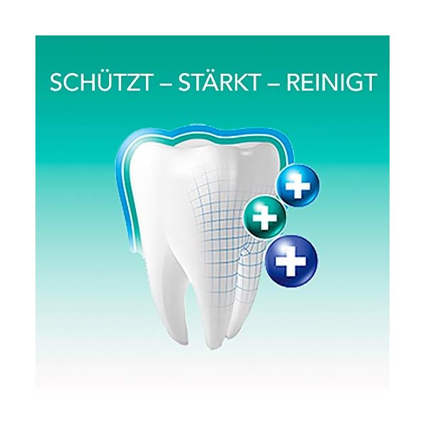 elmex Sensitive Set für empfindliche Zähne: 3 x Zahnpasta 75 ml + 1 x extra weiche Zahnbürste – Bild 11