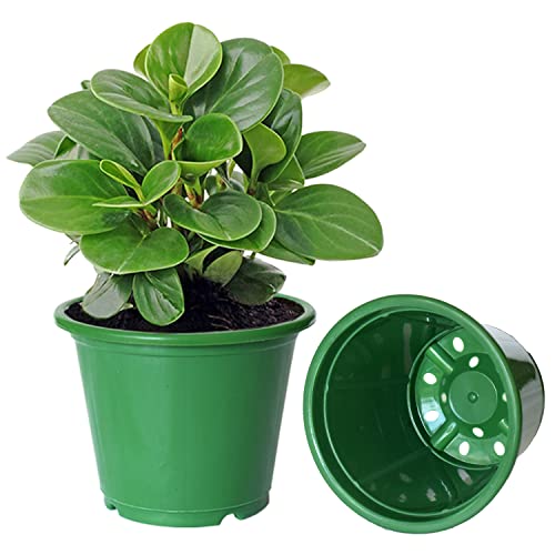 Image of Kuber Industries Durable Plastic Flower Pot|Gamla with Drain Holes for Indoor Home Decor & Outdoor Balcony,Garden,6 inchx5 inch,Pack of 5 (Green)