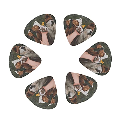 Pack de 12 médiators pour guitare hérisson et chien pour guitare électrique guitare acoustique diverses guitares - Les Beatles, Paul McCartney, John Lennon, RIngo Starr, George Harrison Pack de 12 médiators pour guitare hérisson et chien pour guitare électrique guitare acoustique diverses guitares
