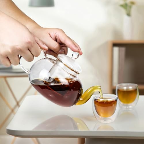 Juegos de té de vidrio 2 en 1 con tazas de doble pared que mantienen la temperatura ideal 6