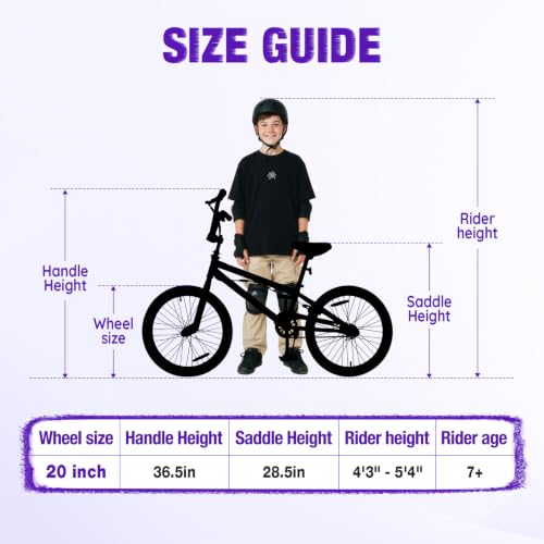 StarterRide 20 Inch BMX Bike