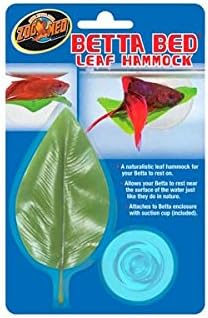 betta hammock