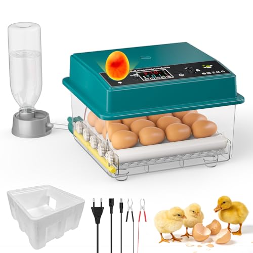 Couveuse Oeuf Automatique, Incubateur Oeuf Automatique 16-64 Oeufs avec Retournement Automatique des Oeufs et Ajout D'eau, Double Alimentation, Contrôle de la...