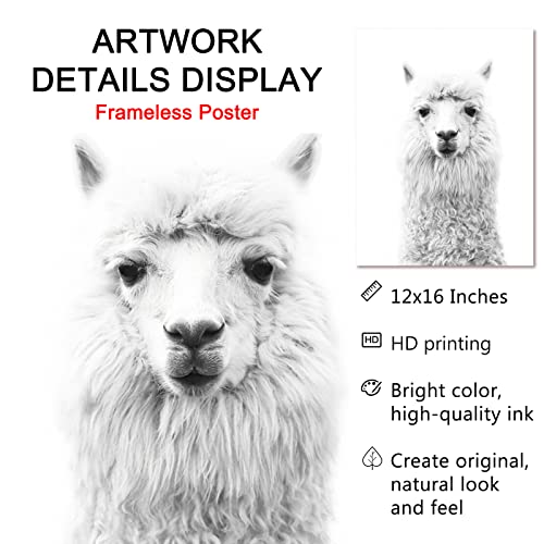 Alpaca Canvas Wall Art Llama Artwork Animal Black And White Print Llama Nursery Wall Art Animal Portraits Wall Decor Cute Nursery Pictures Funny Llama Poster Farm Animal Painting 12X16Inchx3 No Frame #TOP3