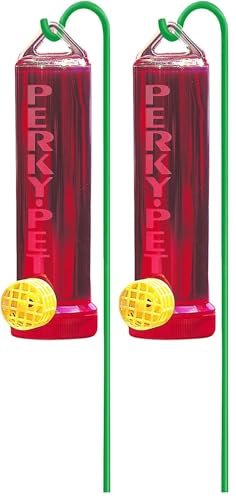 Perky-Pet 215P Planter Box 3-Ounce Plastic Hummingbird Feeder with Hanging Rod (Pack of 2)