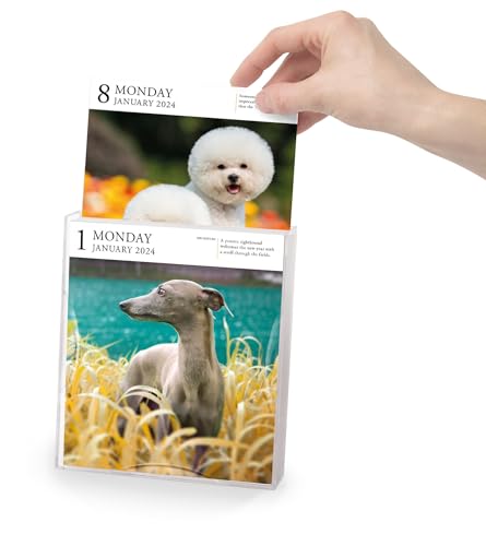 Dog Page-A-Day Gallery Calendar 2024: An Elegant Canine Celebration