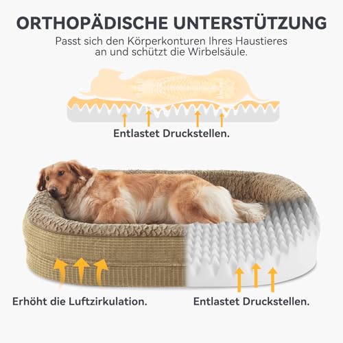 Lit pour chien de taille moyenne imperméable et antidérapant - 3