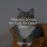 Peaceful Songs for Cats for Deep Sleep