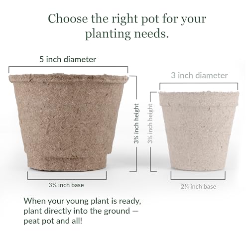 Image of Jiffy Biodegradable Peat Pots for Seedlings, 5 Inch, 100 Pack